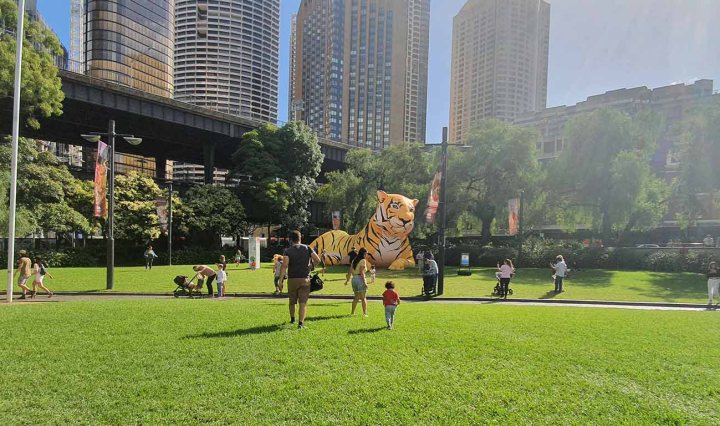 A sunny day. People walk across Circular Quay park. An inflatable tiger is lying down. Tall buildings of Sydney CBD in the far background